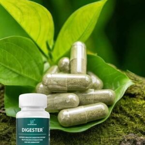 위장 - 이미지 4