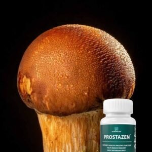 전립선 - 이미지 6